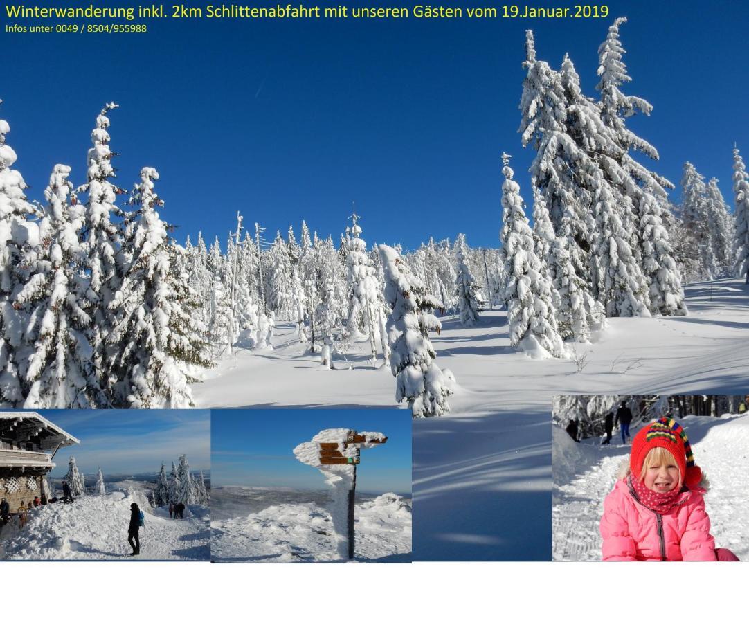 Neukirchen vorm Wald Ferienwohnung Fernblick מראה חיצוני תמונה